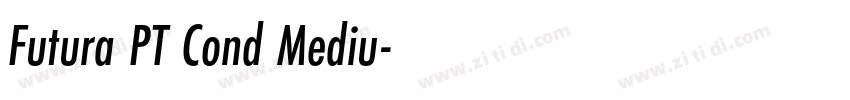 Futura PT Cond Mediu字体转换